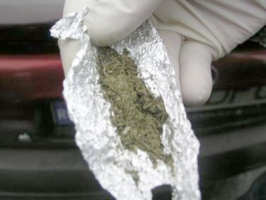 Furtună, prins cu etnobotanicele la purtător